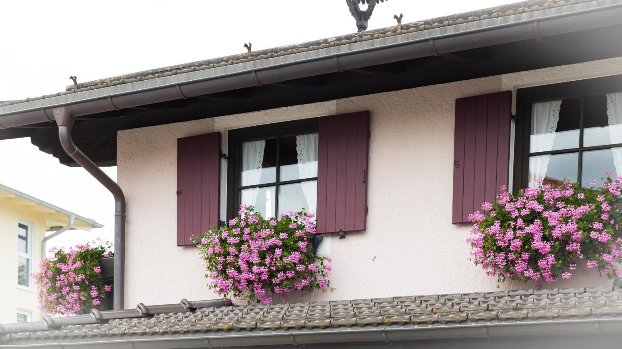 Gaestehaus Sattlerhof Bernau am Chiemsee Luaran gambar
